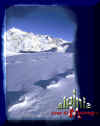 www.alpinia.net